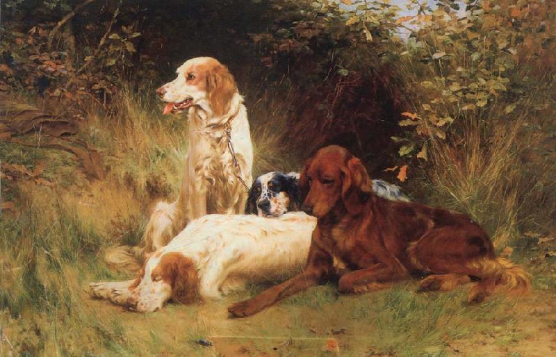unknow artist Some Dogs oil painting picture